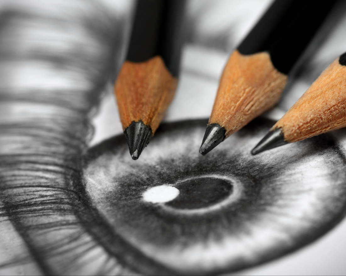 ⟁ Finding Your Muse